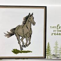 Glückwunschkarte Geburtstagskarte für Pferdefreunde Stampin up! Handarbeit Bild 2