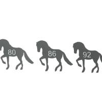 Bügelbild Kleidergrößen Pferde - 24Stk Größenlabel Etiketten - Freie Farbwahl - Wunschgrößen - Größen Nummern - Label Bild 1