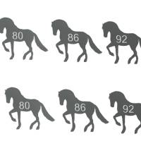 Bügelbild Kleidergrößen Pferde - 24Stk Größenlabel Etiketten - Freie Farbwahl - Wunschgrößen - Größen Nummern - Label Bild 7