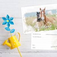 5 Einladungskarten Pferde weißer Rahmen inkl. 5 transparenten Briefumschlägen Bild 3
