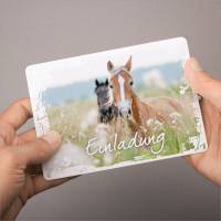 5 Einladungskarten Pferde weißer Rahmen inkl. 5 transparenten Briefumschlägen Bild 5