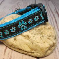 Hundehalsband Halsband "Pfoten-Liebe", blau, 22cm-30cm, 2cm breit Bild 1