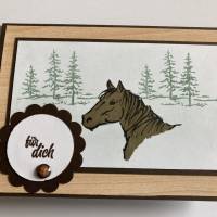 Glückwunschkarte mit Pferd Stampin up! Handarbeit Unikat Bild 1