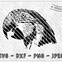 Plotterdatei - wildnis - Papagei - SVG - DXF - Datei - Tierkopf - Mithstoff Bild 1