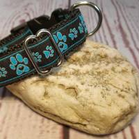 Hundehalsband Halsband "Pfoten-Liebe", blau, 24cm-35cm, 2cm breit Bild 1