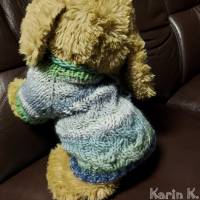 Mini- Hunde- Pullover in sanften Pastellfarben Grau Helltürkis Hellgrün Bild 5