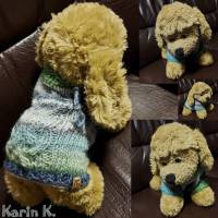 Mini- Hunde- Pullover in sanften Pastellfarben Grau Helltürkis Hellgrün Bild 6
