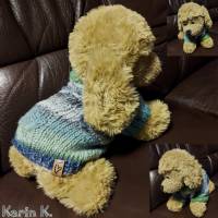 Mini- Hunde- Pullover in sanften Pastellfarben Grau Helltürkis Hellgrün Bild 7