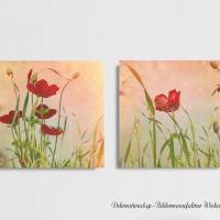 ANEMONEN Frühlingsblumen 2er Set auf Holz Leinwand Print Wanddeko Landhausstil VintageStyle ShabbyChic handmade kaufen Bild 1