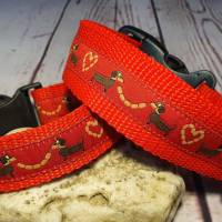 Hundehalsband Halsband "Dackel-Liebe", rot, 31cm-47cm, 3cm breit Bild 1