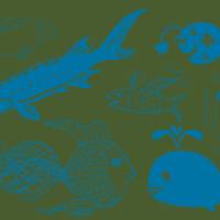 Fische, Bio Frauen T-Shirt. Siebdruck handbedruckt. Bild 2