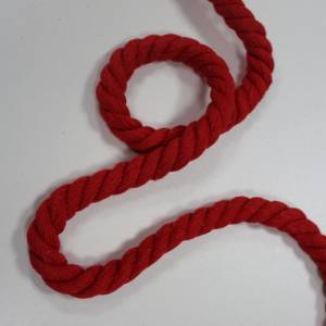 1m Hoodie-Kordel,12 mm, rot, 43846, gedreht Bild 1