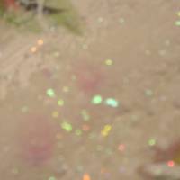 FINGERHÜTE IM MORGENTAU - schickes Blumenbild mit Glitter und Strukturpaste 40cmx50cm Bild 10