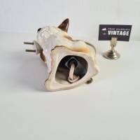 Rockabilly Rauchverzehrer - Hund Porzellan 50er Jahre Bild 3