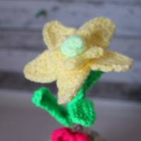 gehäkelte Blume im Blumentopf, versch. Farben, Frühblüher Bild 3