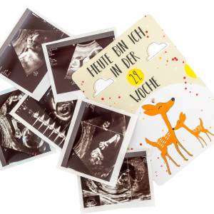 Meilensteinkarte Schwangerschaft, 1x Fotokarte für Schwangere, Babybauch- & Schwangerschaftstagebuch, Geschenk Schwanger Bild 5