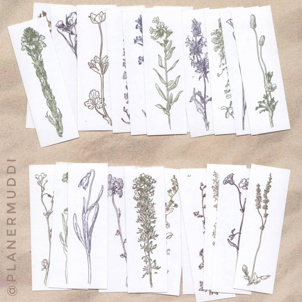 Sticker-Set Vintage Pflanzen, 25-tlg. Bild 1