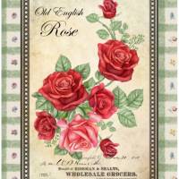 Bastelpapier - Decoupage-Papier - A4 - Softpapier - Vintage - Shabby - Old English Rose - Rosen - 12995 Bild 1