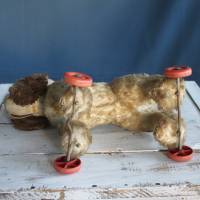 alter Plüschhund auf Rädern Vintage Spielzeug Bild 5