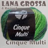 4 Knäuel 200 Gramm Cinque Multi von Lana Grossa in traumhaft schönen Farbverläufen Farbe 009 Partie 4424 Bild 7