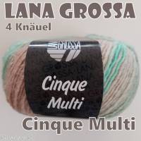 4 Knäuel 200 Gramm Cinque Multi von Lana Grossa in traumhaft schönen Farbverläufen Farbe 012 Partie 2943 Bild 4