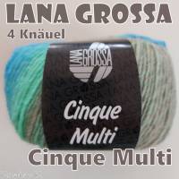 4 Knäuel 200 Gramm Cinque Multi von Lana Grossa in traumhaft schönen Farbverläufen Farbe 012 Partie 2943 Bild 5