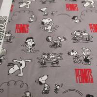 Snoopy, Peanuts - Playtime hellgrau BIO - Jersey Organic Cotton(1m/20,-€) Bild 1