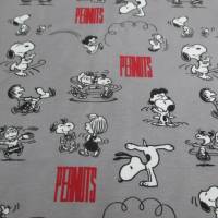 Snoopy, Peanuts - Playtime hellgrau BIO - Jersey Organic Cotton(1m/20,-€) Bild 3