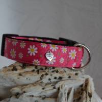 Halsband Hundehalsband Gr. 25-35 cm verstellbar ungepolstert od. gepolstert Muster Daisy Bild 1