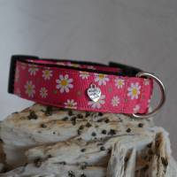 Halsband Hundehalsband Gr. 25-35 cm verstellbar ungepolstert od. gepolstert Muster Daisy Bild 2