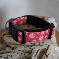 Halsband Hundehalsband Gr. 25-35 cm verstellbar ungepolstert od. gepolstert Muster Daisy Bild 3