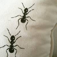 Ameisen. Kissenbezug Biobaumwolle, 45x45 cm, handbedruckt, Siebdruck Bild 2