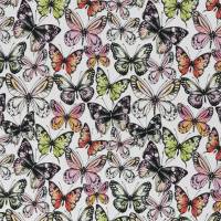 Theo Jersey Baumwolle Schmetterlinge, bunt/weiß Oeko-Tex Standard 100(1m/13,-€) Bild 1