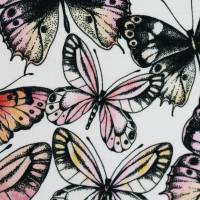 Theo Jersey Baumwolle Schmetterlinge, bunt/weiß Oeko-Tex Standard 100(1m/13,-€) Bild 2