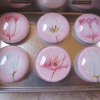 Magnete Kühlschrankmagnete Blumen Tulpe Rosa Weiß "Tulipe" 6er Set Bild 1