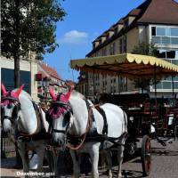 Colmar - Zauberhafte Stadt im Elsass – Kalender 2023 Bild 10