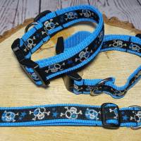 Hundehalsband Halsband "Skulls", blau auf blau, ca. 24cm-36cm, 2,5cm breit Bild 4