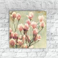 MAGNOLIENZWEIG Frühlingsblumen Leinwand Holzdruck Print Wanddeko Landhausstil Shabby Chic Vintage Style online kaufen Bild 1