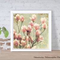 MAGNOLIENZWEIG Frühlingsblumen Leinwand Holzdruck Print Wanddeko Landhausstil Shabby Chic Vintage Style online kaufen Bild 2