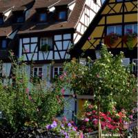 Colmar une ville charmante en Alsace - 2023 vertical Bild 3