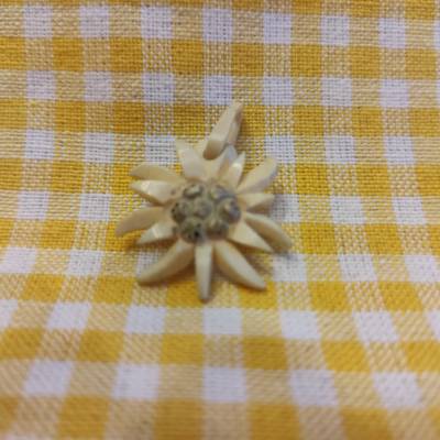 Alter Edelweiss-Anhänger - Schnitzerei