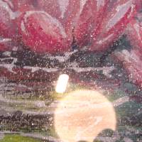 ROSA SEEROSEN - kleines gerahmtes Blumenbild mit rosa Seerosen 40cmx30cm Bild 2