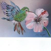 Grußkarte / Sammelkarte-   Kolibri mit Hibiscusblüte-  handgemalt Bild 1