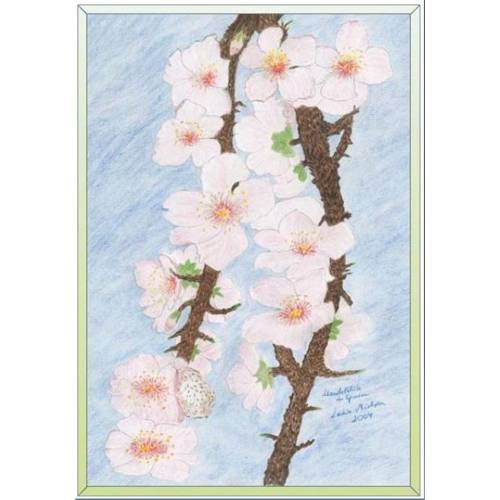 Kunst–Doppelkarte - „Mandelblüte in Spanien“ - bewusst ohne Textvorgabe - Design  Ulrike Kröll