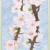 Kunst–Doppelkarte - „Mandelblüte in Spanien“ - bewusst ohne Textvorgabe - Design  Ulrike Kröll Bild 1