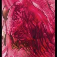 Kunst–Doppelkarte - „Blüte mit Knospen“ - bewusst ohne Textvorgabe - Design  Ulrike Kröll. Bild 1