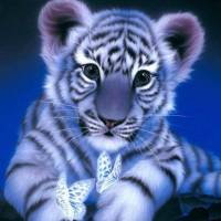 Diamond Painting Tiger Bild 1