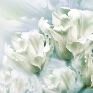 Schreibtischunterlage – Romantische weiße Tulpen – 70 x 50 cm – Schreibunterlage aus erstklassigem Premium Vinyl – Made Bild 2