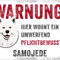 Hundeschild WARNUNG! mit Samojede, wetterbeständiges Warnschild Bild 1