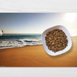 Napfunterlage | Futtermatte „Am Strand“ aus Premium Vinyl - 60x40 cm - rutschhemmend, abwaschbar, reißfest - Made in Ger Bild 1